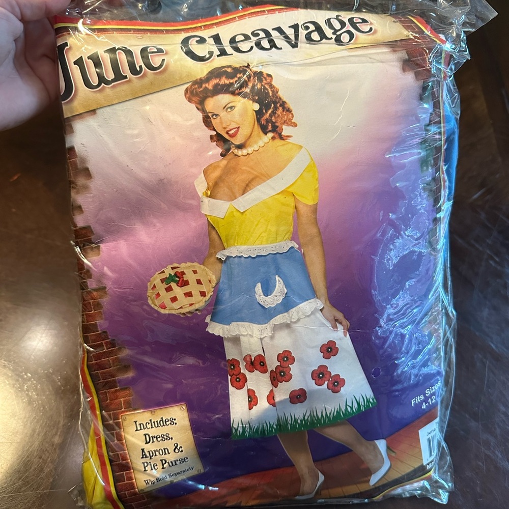 June Cleavage Costume Dress with Apron